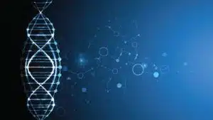 ADN - Refonte système information - Digitalisation - Darest Informatic